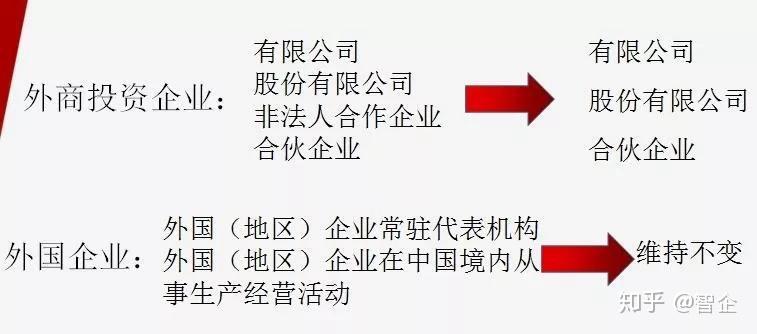 三肖必中三期必出资料|公开解释解析落实,三肖必中三期必出资料，解析与公开解释落实的重要性